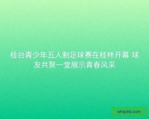 桂台青少年五人制足球赛在桂林开幕 球友共聚一堂展示青春风采