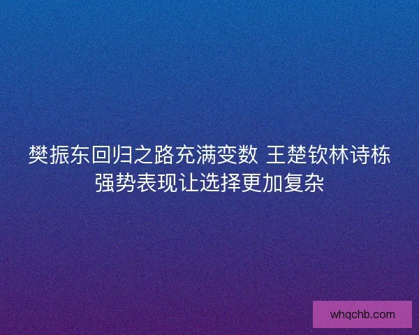 樊振东回归之路充满变数 王楚钦林诗栋强势表现让选择更加复杂