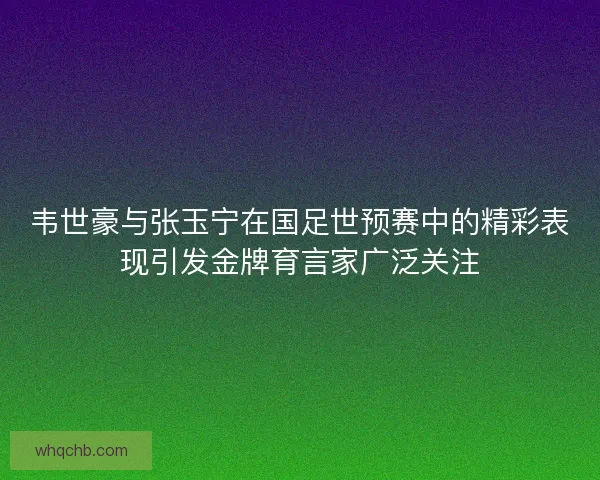 韦世豪与张玉宁在国足世预赛中的精彩表现引发金牌育言家广泛关注