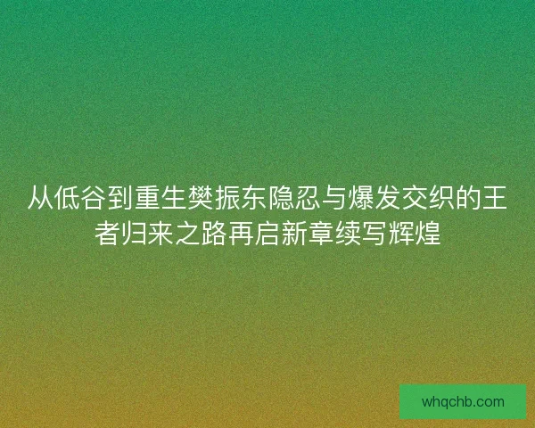 从低谷到重生樊振东隐忍与爆发交织的王者归来之路再启新章续写辉煌