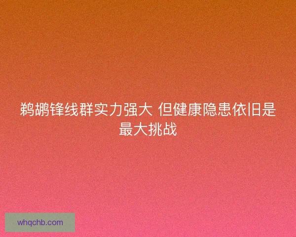 鹈鹕锋线群实力强大 但健康隐患依旧是最大挑战