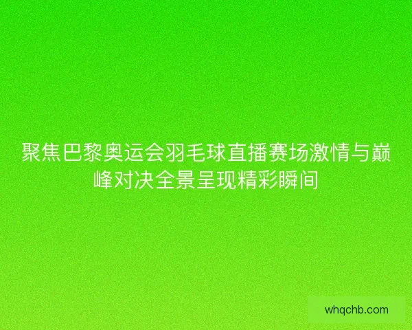 聚焦巴黎奥运会羽毛球直播赛场激情与巅峰对决全景呈现精彩瞬间